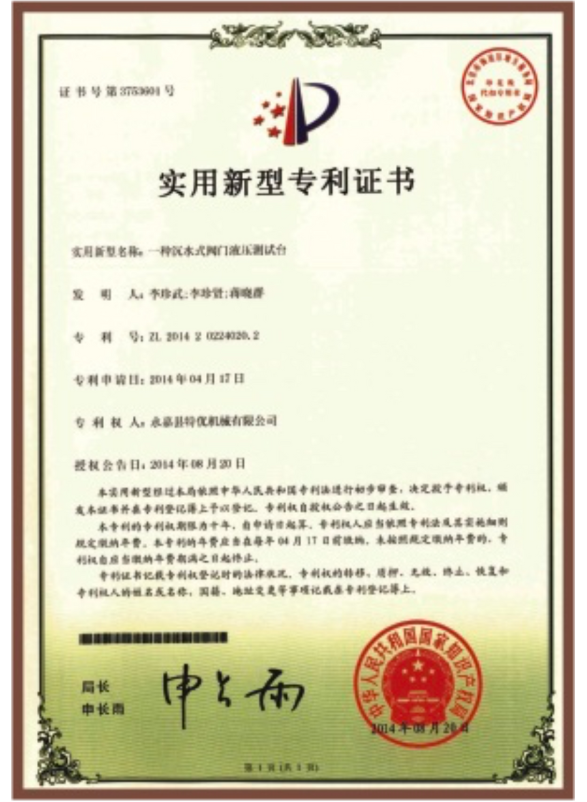 A submerged valve hydraulic testing stand